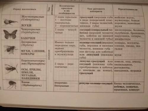 Заполните таблицу отряды насекомых название отряда: развитие полное и неполное: признаки отряда: п