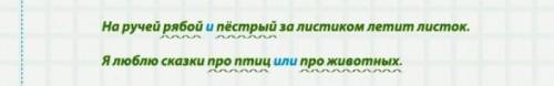 Придумать 7 предложений с однородными членами и разобрать их.