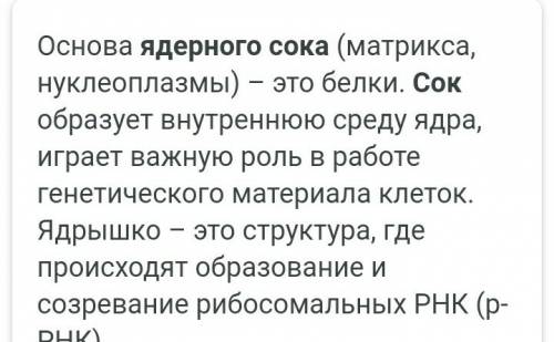 Какие функции у ядерной пластинки, ядерного сока, хроматина и ядрышка?