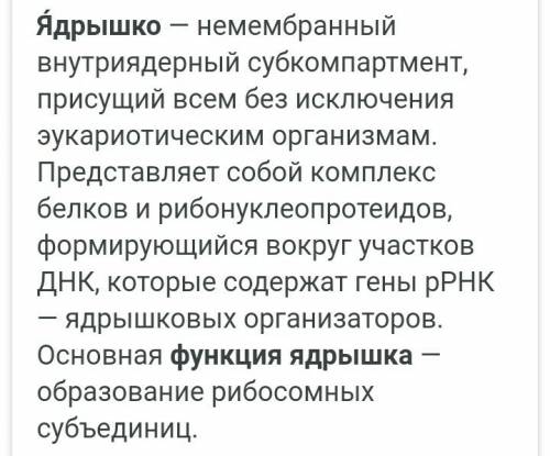 Какие функции у ядерной пластинки, ядерного сока, хроматина и ядрышка?