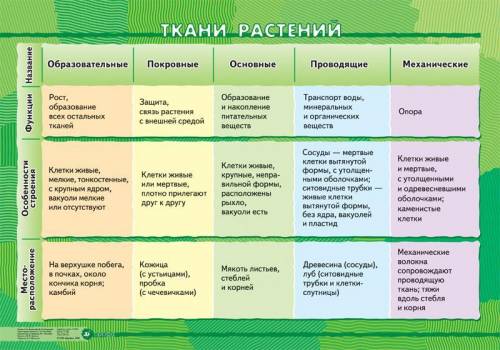 Заполните таблицу описывая: 1. образовательные ткани 2. покровные ткани 3. проводящие ткани( луб и д