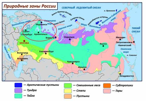 Выбирете верный ответ. северо-запад расположен: а)в зоне тайги; б)в зоне смешанных лесов; в)в зоне ш