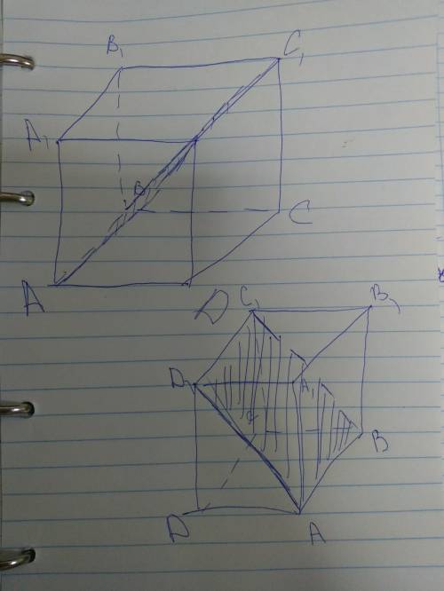 Постройте сечение куба abcda1b1c1d1 плоскостью, проходящей через диагональ ad1, грани aa1dd1 и верши