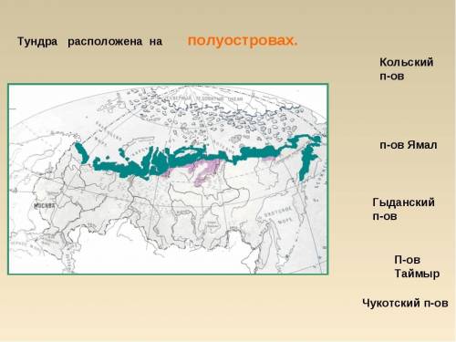 Закрасьте синим цветом на карте(любой карте) безлесные области планеты, в пределах которых можно вст