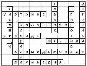 Нужен кроссворд по водорослям,7 класс. 10 вопросов. 18