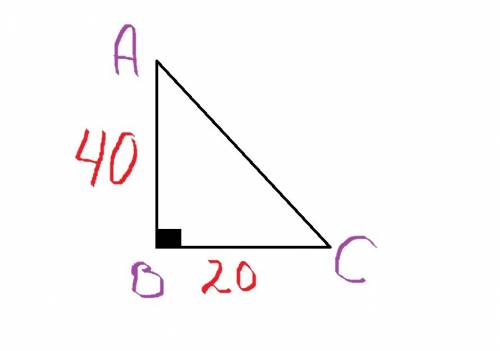 Найдите площадь прямоугольника треугольника со сторонами образующими прямой угол равными 20м и40м