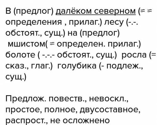 Вдалёком северном лесу на мишистом болоте росла голубика.(найти повест.,невоскл.,простое.,распростр.