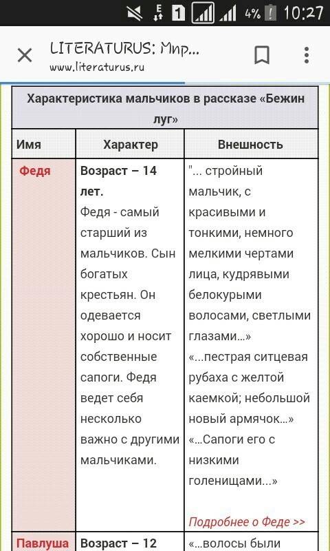 Характеристика одного из мальчиков бежин луг