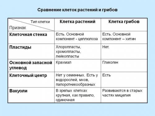 Сравните: строение клеток растений и животных; строение клеток растений и клеток бактерий,гетеротроф