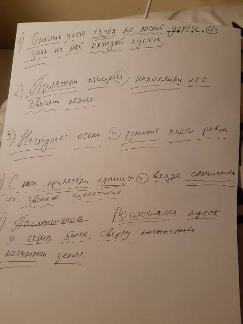 1. охотник часто ездел по лесной дороге и знал на ней каждый кустик. 2. прилетели птицы и наполнили