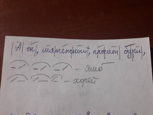 Укажите название произведения, автора и стихотворный размер. «…а он, мятежный, просит бури, как будт