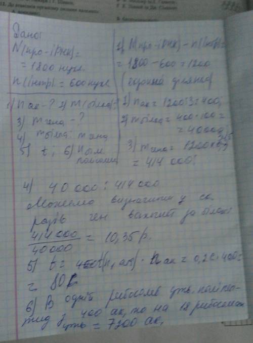 Молекула про-ірнк складається з 1800 нуклеотидів, причому на інтронні ділянки припадає 600 нуклеотид