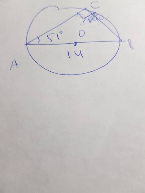 Вокружности проведена хорда ac, которая образует с диаметром ab угол в 51°. длина диаметра равна 14