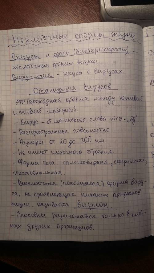 Нужны конспект по вирусам и схема строения вирусов и вирионов,