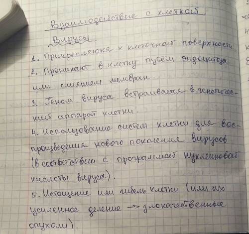 Нужны конспект по вирусам и схема строения вирусов и вирионов,