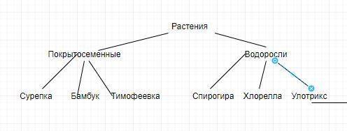 Из представленного перечня понятий и терминов составьте схему: растения, спирогира, водоросли, покры