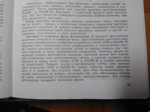 Световая и темновая фазы где протекает, что обращуется, источник энергии,