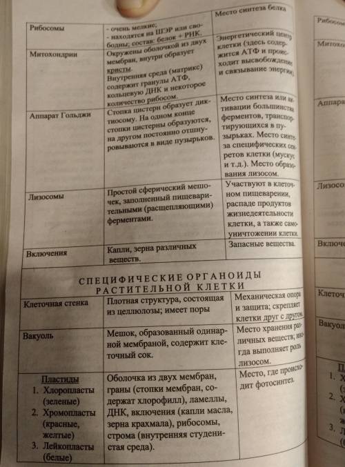 Таблица строение и функции клеточных структур . особенности строение, функции.