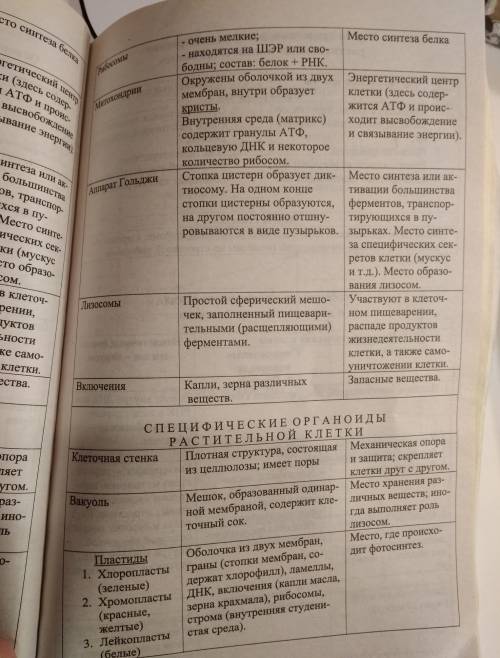 Таблица строение и функции клеточных структур . особенности строение, функции.