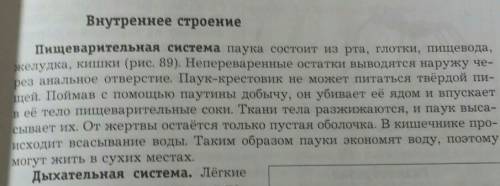 Какие особенности строения и поведения паука-крестовика позволяют ему питаться насекомыми?