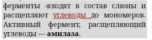 Вкаком отделе пищеварительного тракта начинается расщепление углеводов? 1.ротовая полость 2.пищевод