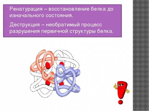 Необратимый процесс разрушения первичной структуры белков называется: cрочно!