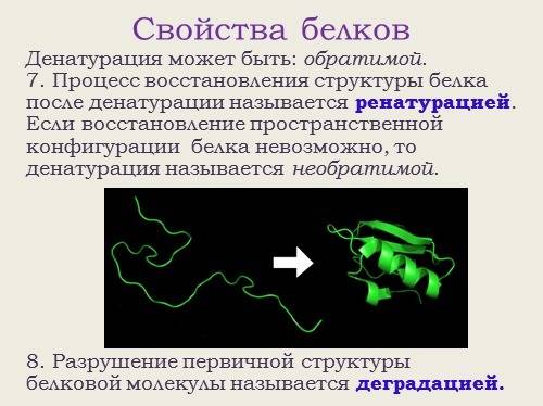 Необратимый процесс разрушения первичной структуры белков называется: cрочно!