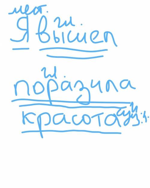 Явышел на улицу и меня поразила необыкнавенная красота южного ночного неба -роставить знаки препинан