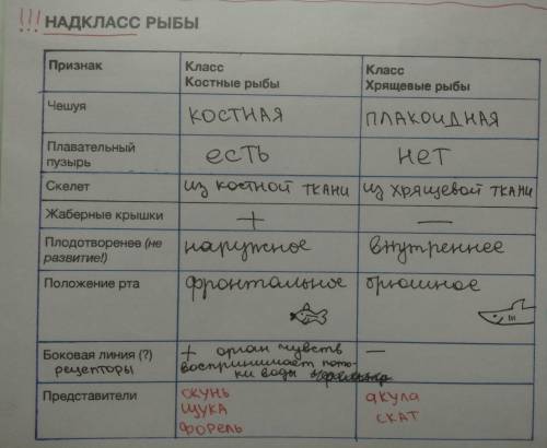 ответьте на вопросы по биологии , ! это тебе по биологии тебе пригодится 1.написать отличие между хр