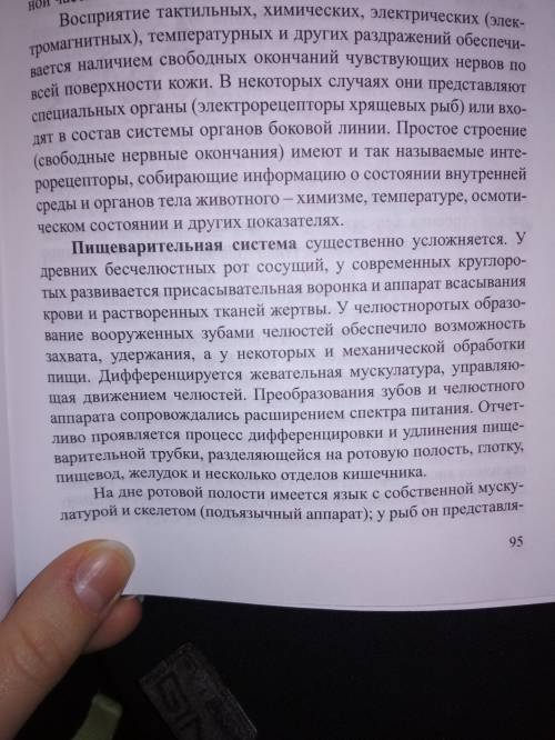 Доклад на тему пищеварительная и выделительная система