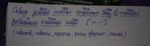 Синтаксический разбор . сквозь зелёные листья стройных берёз и тополей засверкали огненные искры