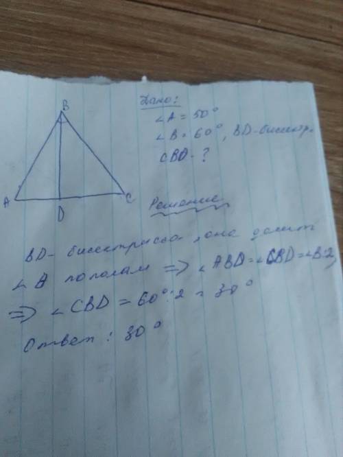 Втреуг. abc проведена биссектриса bd, уголa=50°, b=60°. найдите cbd