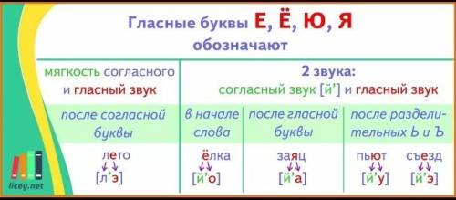 Перечисли все случаи,когда гласные могут обозначать 2 звука