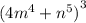 {( 4{m}^{4} + {n}^{5} )}^{3}