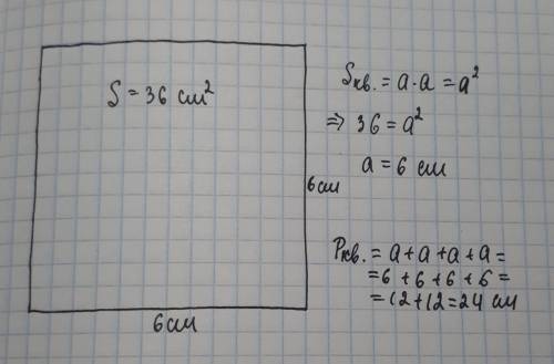 Начерти квадрат,имеющий площадь 36 см в квадрате.найди его периметр.