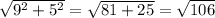 \sqrt{ {9}^{2} + {5}^{2} } = \sqrt{81 + 25} = \sqrt{106}