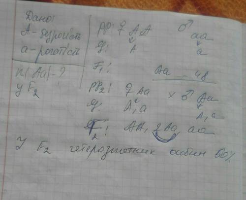 Укорів безрогість керує над рогатістю. на ранчо зелена долина від схрещування безрогої корови з рога