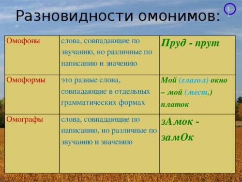 Укажите, ­какая из омонимичных форм использована в предложении. древние замки имели сломанные замки