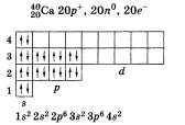 30 . народ, составить схемы строения следующих атомов: 1) p; 2) cl; 3) ca. по возможности расписат