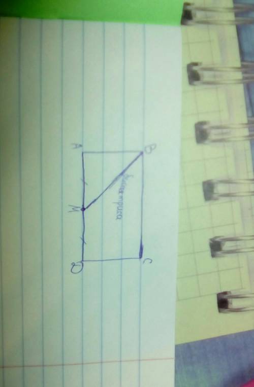 Впрямоугольнике авсд проведена биссектриса вм к основанию ад точка м делит ад на две равные части