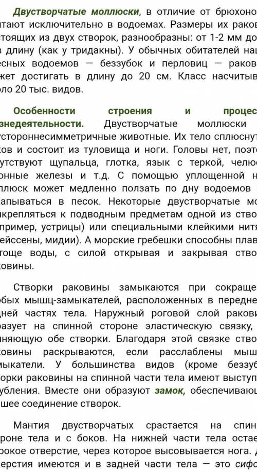 Сообщение о двустворчатых моллюсках по биологии 7 класс.