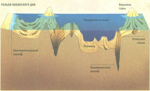 Океаны земли (их особенности, кто исследовал, рельеф дна)