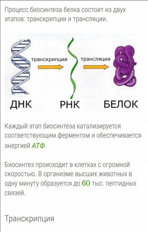 Какой нужно провести опыт что-бы узнать наличие белка в клетке?