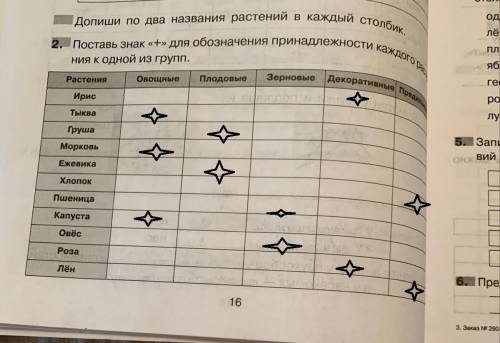 Поставь знак + для обозначения принадлежности каждого растения к одной из групп