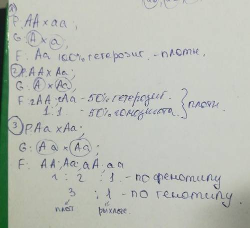 Упшеницы плотный колос (a) доминирует над рыхлым (a). установи соответствие между схемой скрещивания