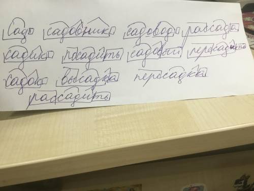 Разобрать слова по составу сад садовник садовод рассада садик посадить садовый пересадить садок выса