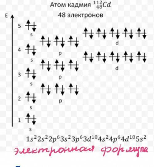 Изобразите электронную конфигурацию атома элемента № 48. определите по электронной конфигурации в ка