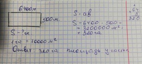 Длина прямоугольного участка равна 6400 м, а ширина — 500 м. найдите площадь участка и выразите ее в