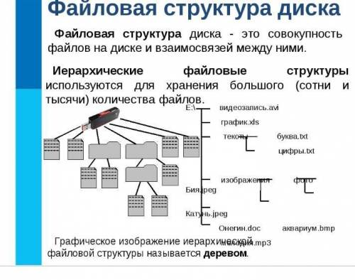 Файловая структура диска можно фото ​