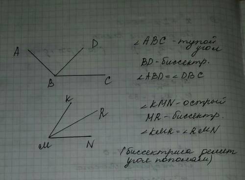 построить 2 угла (тупой и острый), провести биссектрису угла. какой величины углы образуются при дел